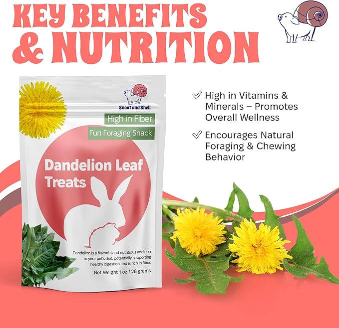 Snout and Shell Dandelion Leaf Treat for Small Pets – 1 oz (28g) | High-Fiber, Natural Foraging Snack for Rabbits, Guinea Pigs, Chinchillas, Squirrels &amp; More