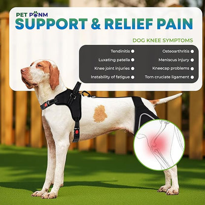 Comfortable Dog Knee Brace for Both Hind Legs with Harness - for ACL Tear, Luxating Patellae, Osteoarthritis &amp; Instability - for Recovery &amp; Injury Prevention in Active/Aging Dogs - (XSmall)