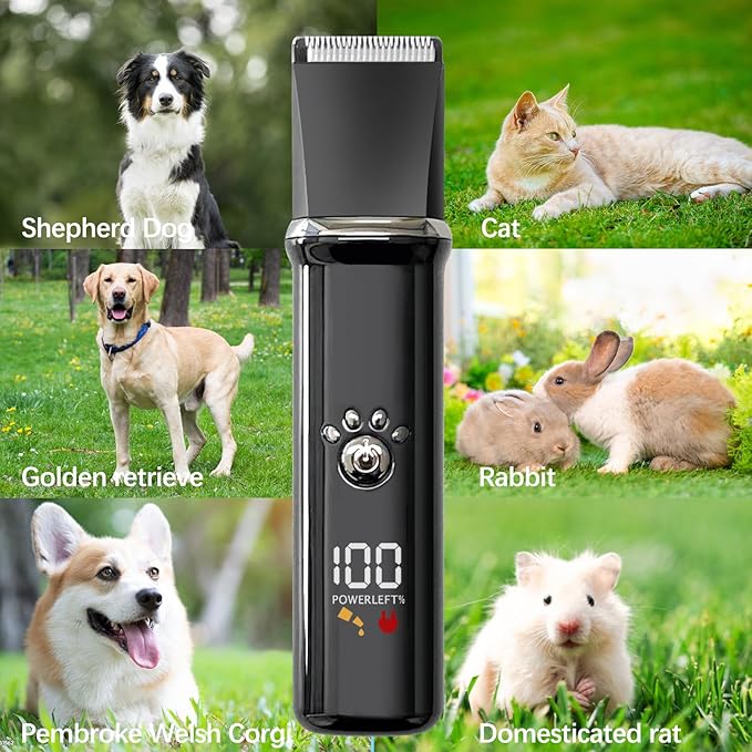 Dog Clippers Grooming Kit - Low Noise, Cordless Electric Trimmer with Nail Grinder for Dogs &amp; Cats, 4 in 1 Rechargeable Clippers for Paws, Ears, Face and Matted Hair (Black)