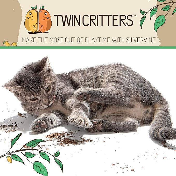 KittiKrack Rock Organic Silvervine Catnip Substitute for Cats &amp; Kittens | All-Natural Wild Harvested Silvervine Granules | 4 Refills for TWINCRITTERS Refillable Plush Cat Toys | 10g