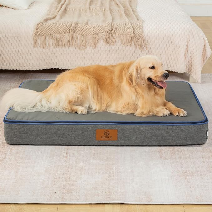 Orthopedic Memory Foam XXL Dog Bed - 6" Thick Beds for Extra Large Sized Dog - Waterproof Removable Washable Cover &amp; Wrap-Around Zipper - Ultimate Comfort &amp; Easy Maintenance, Dary Grey
