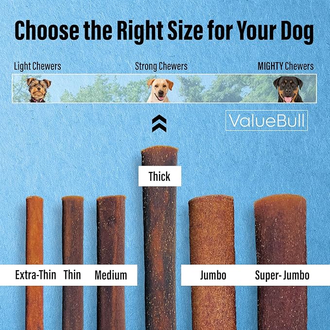 ValueBull Collagen Sticks for Dogs, 12 Inch Thick Chews, Natural Long-Lasting Dog Treats, 50 Count Bulk Pack - Supports Joints, Skin &amp; Coat with Chondroitin &amp; Glucosamine