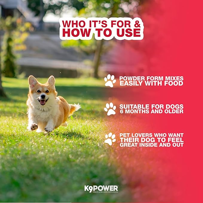 K9 Power Young at Heart Senior Dog Multivitamin 1 lb – Supplement for Brain Heart, Vision &amp; Mobility Support in Senior Dogs - Pack of 2