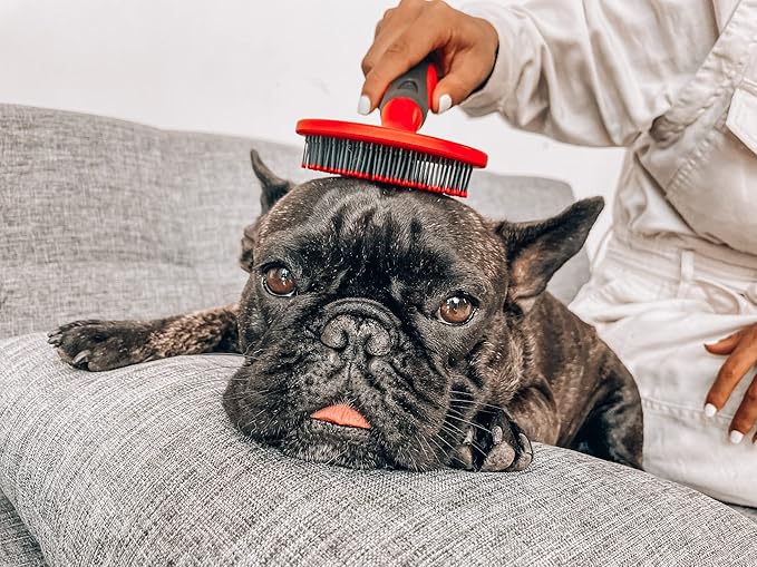 Tuff Pupper Round Bristle Soft Brush for Dogs and Cats | Gentle Grooming for Short or Long Hair | Soft Pin Tool for Sensitive Skin | Detangle &amp; Remove Loose Fur | For Dematting &amp; Detangling Undercoat