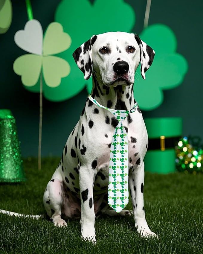 PET SHOW 10 Pack St. Patrick&