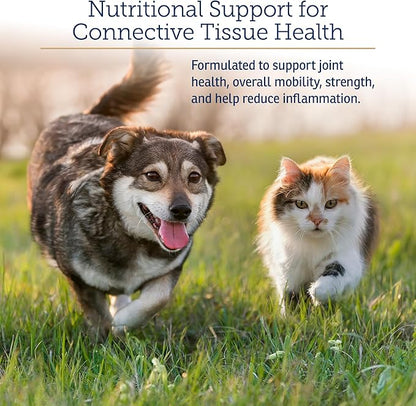 Rx Vitamins NutriFlex for Cats &amp; Dogs - Glucosamine for Dogs Hip and Joint Supplement - with Bovine Collagen and Chondroitin - Joint Pain Relief &amp; Anti Inflammatory for Dogs - Beef Liver (90 Chews)