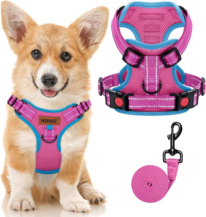 MIDOG No-Pull Dog Harness | Adjustable &amp; Reflective Pet Harness Leash Set for Small Medium Large Dogs Walking, Training| No Choke, Front Clip, Soft Padded Vest with Easy Control Handle - Pink, S