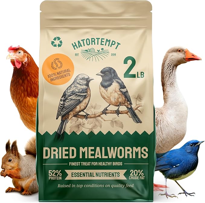 Dried Mealworms - 2 Lb Bag - High Protein Chicken Feed, Mealworms for Birds &amp; Chickens - Meal Worms for Wild Birds &amp; Turtles