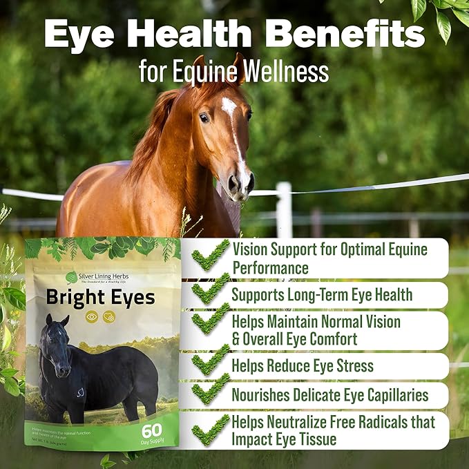 Silver Lining Herbs Bright Eyes Vitamins - Horses Eye Supplements to Support Capillary Health, Great Vision, &amp; Overall Eye Health - Plant-Based Herbal Horse Supplements - 1 lb 60-Day Supply