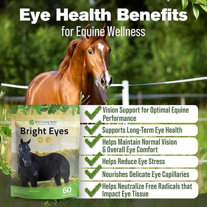 Silver Lining Herbs Bright Eyes Vitamins - Horses Eye Supplements to Support Capillary Health, Great Vision, &amp; Overall Eye Health - Plant-Based Herbal Horse Supplements - 1 lb 60-Day Supply
