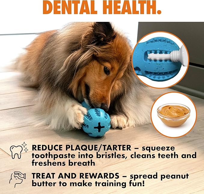 Max Fusion with Nike Grind, Dog Chew Toy, Arlee Weeble Treat Dispensing Toy for Dogs, Durable &amp; Interactive for Pets, M