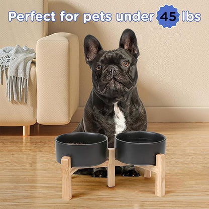 SPUNKYJUNKY Elevated Dog Bowls Ceramic, 6.1&