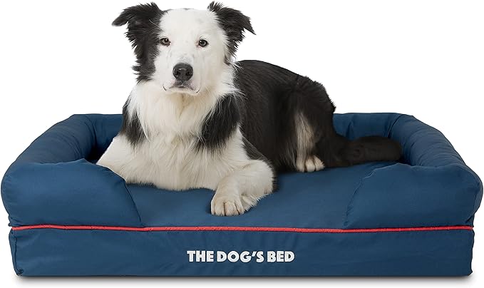The Dog’s Bed, Large Oxford Blue/Red 36x27 Memory Foam, Pain Relief: Arthritis, Hip &amp; Elbow Dysplasia, Post Surgery, Lameness, Supportive, Calming, Waterproof Washable Cover, Veterinary Approved