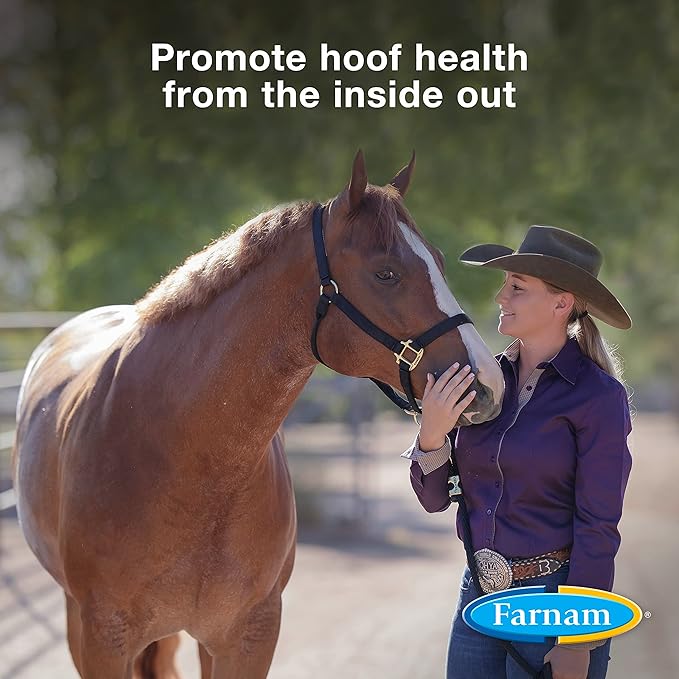 Farnam Horseshoer&