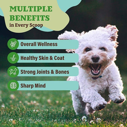 Natural Dog Company Dog Super Greens Food Topper, Dog Multivitamin Powder Vitamins &amp; Supplements, Boost Immunity &amp; Digestion, Wellness Nutrient-Rich Food Seasoning Meal Topper, 8 oz