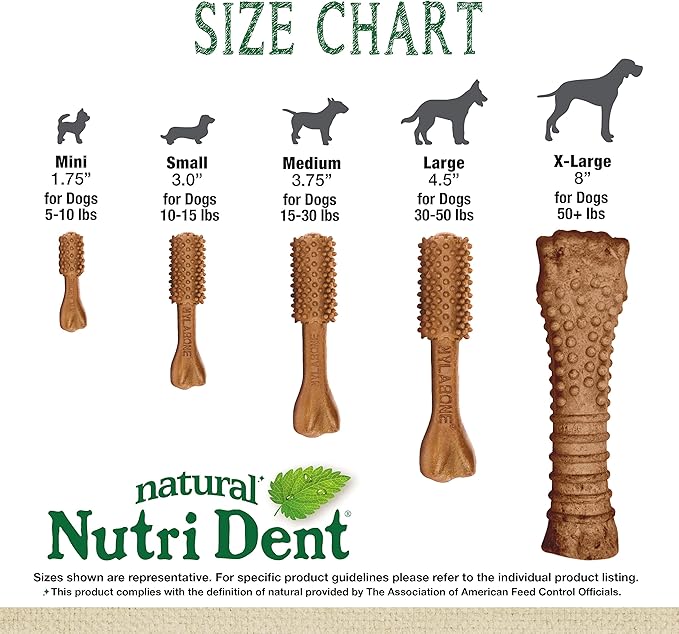 Nylabone Nutri Dent Dog Dental Chews - Natural Dog Teeth Cleaning &amp; Breath Freshener - Dental Treats for Dogs - Filet Mignon Flavor, Mini (32 Count)