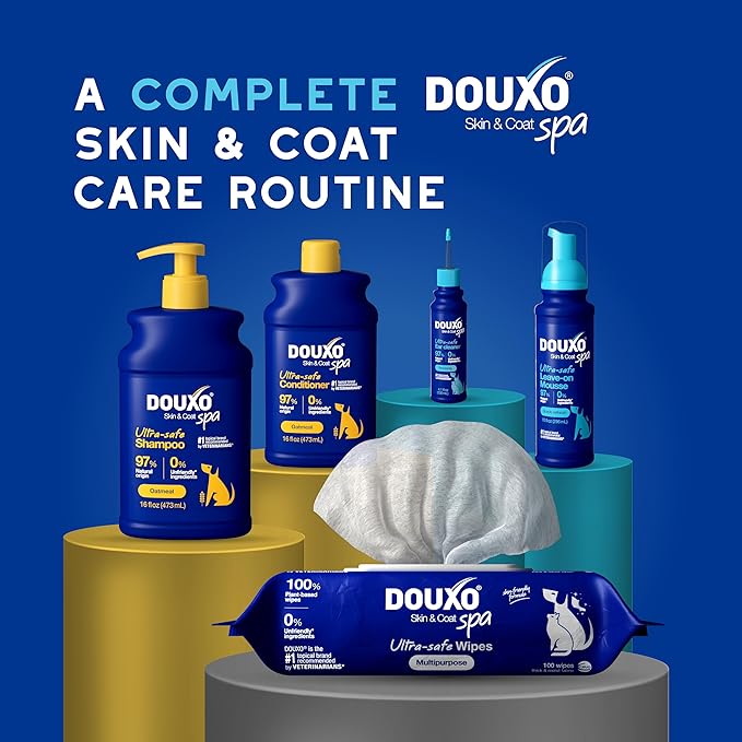 DOUXO® Skin &amp; Coat SPA - Ultra-Safe Quick Refresh Leave-on Mousse for Dogs, 10 fl oz, Safely Cleans and Refreshes, Leaves The Coat Soft, Radiant and Smelling Great, Skin-Friendly Formula