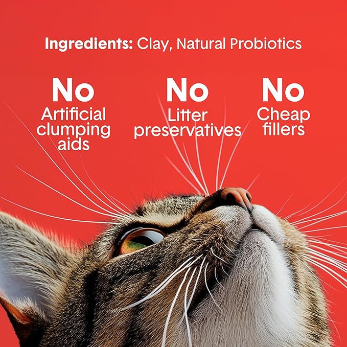 Boxie® Extra Strength 35 Day Odour Control Clumping Clay Cat &amp; Kitty Litter 28lb, 99.9% Dust-Free, Probiotic Formula, Long-Lasting, Veterinarian Approved, Easy Scooping for Multi-Cat Homes