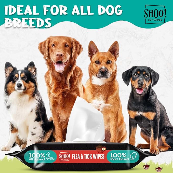 Shoo! Flea &amp; Tick Wipes for Dogs | Convenient, Easy On-The-Go Protection | Plant Based, Natural Oils, Chemical Free | Repels &amp; Prevents | 50 XL Wipes (2 Pack) | Original -Lavender