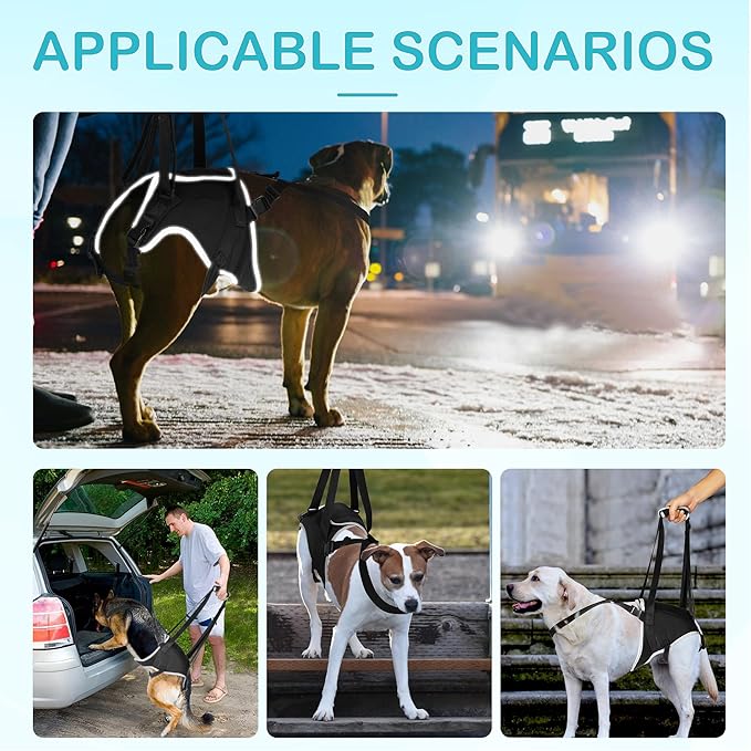 Dog Hip Support Brace – Rear Leg Lift Harness for Mobility &amp; Post-Surgery Recovery, with Chest Straps and Adjustable Elastic Buckles, Customization
