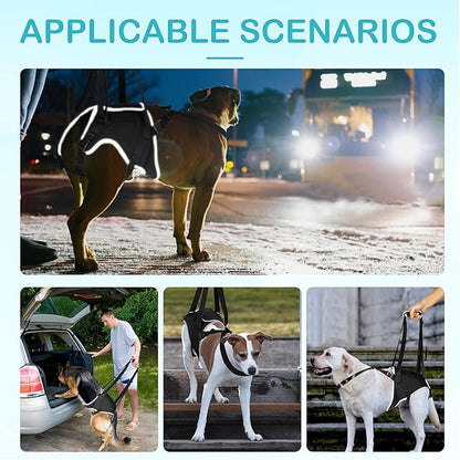 Dog Hip Support Brace – Rear Leg Lift Harness for Mobility &amp; Post-Surgery Recovery, with Chest Straps and Adjustable Elastic Buckles, Customization