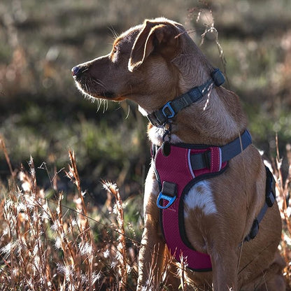 Embark Adventure Dog Harness, No-Pull Reflective Trim Dog Harness for Small, Medium &amp; Large Dogs - Military Grade Nylon, 2 Leash Clips &amp; Gel Lined Handle. Soft &amp; Padded Puppy Dog Vest for Any Breed