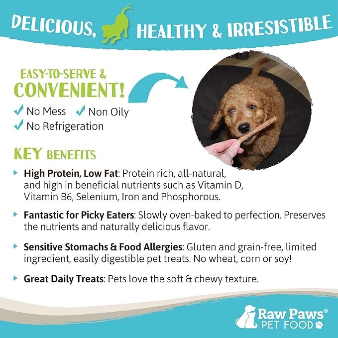 Raw Paws Grain-Free Soft Stick Treats for Dogs &amp; Cats - Beef Recipe, 6-oz - Made in USA Beef Jerky Treats - Cat Sticks - Chewy Dog Jerky Treats - Dog Sausage - Soy, Grain Free