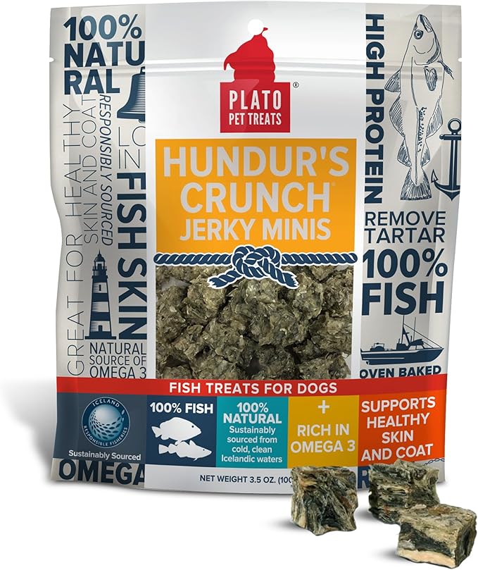Plato Hundur&