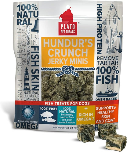 Plato Hundur&