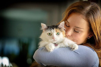 Spry, Cat Eye Care Support, L-Lysine Cat Treat Supplement, Cat Immune Support Supplement, Cat Health Daily Treat, Prebiotic Cat Health Support, Cat Antioxidant Respiratory Health for Cats