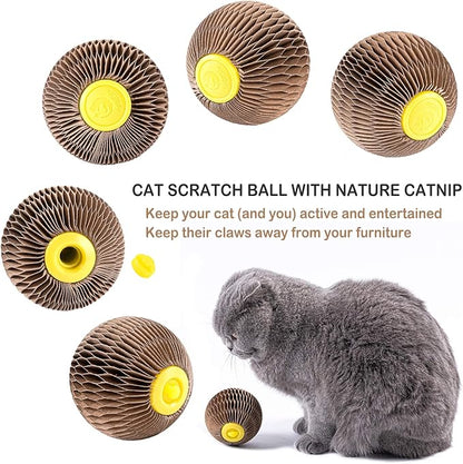 AREIIA Catnip Ball Toy for Cats Catnip Refillable Scratcher Ball Kitty&
