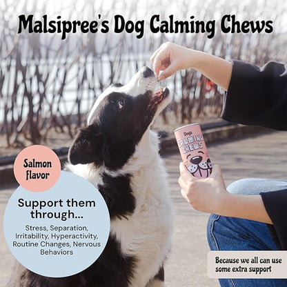 MalsiPree Calming Chews for Dogs - 145 pcs Salmon - Helps Regulate Mood - Anxiety Relief Treats - No Sedative Effect - Freeze Dried - with Passion Flower &amp; Melatonin