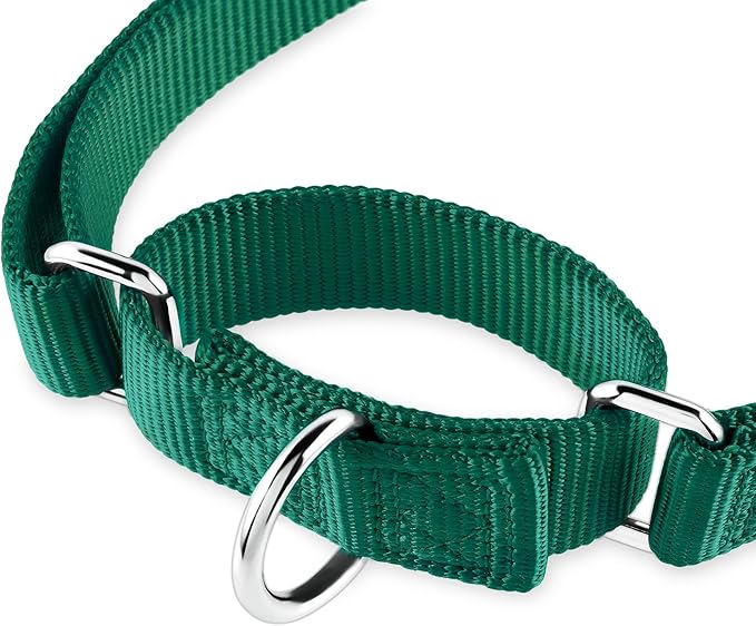 Hyhug Martingale Dog Collar Without Buckle: Anti Escape, No Slip Heavy - Duty Nylon, Colorfast &amp; Adjustable for Medium Breeds（Medium, Solid Color Dark Green