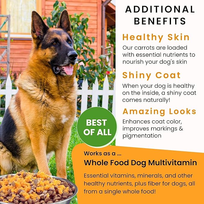 Olewo Starter Bundle Original Carrots &amp; Red Beets - Fiber for Dogs, Digestive Dog Food Topper, Natural Anti Itch, Whole Food Dog Multivitamin - 1lb Each (2lbs Total)