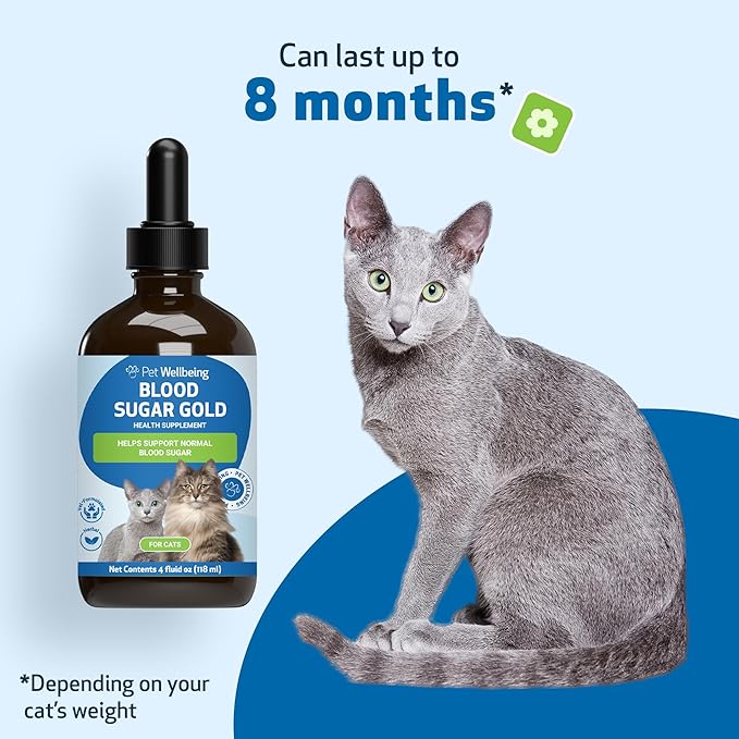 Pet Wellbeing Blood Sugar Gold for Cats - Healthy Blood Sugar Levels, Pancreas &amp; Liver Function, Devil’s Club, Gymnema - Veterinarian-Formulated Herbal Supplement 4 oz (118 ml)
