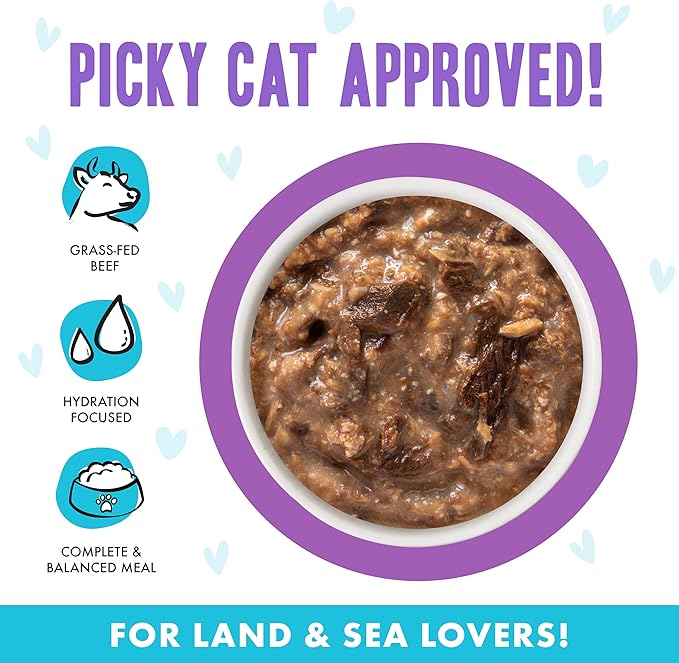 Weruva B.F.F. OMG - Best Feline Friend Oh My Gravy!, Booya! Beef &amp; Chicken in Gravy Cat Food, 2.8oz Pouch (Pack of 12)