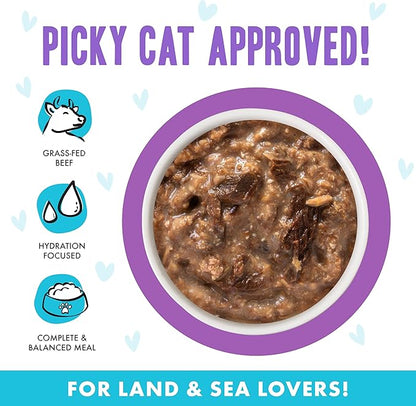 Weruva B.F.F. OMG - Best Feline Friend Oh My Gravy!, Booya! Beef &amp; Chicken in Gravy Cat Food, 2.8oz Pouch (Pack of 12)