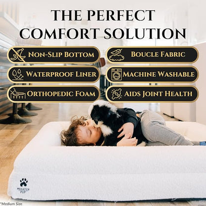 Luxury Boucle Fabric Orthopedic Dog Bed with Memory Foam | Breathable Comfort and Washable Dog Couch Bed with Waterproof Liner &amp; Cover | Ideal Pet Beds for Small Dogs - Bone (29"x23"x6")