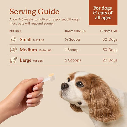 Fera Pets Probiotics for Dogs &amp; Cats with Prebiotics - USDA Organic - Gut Health Powder Supplement with 12 Strains and 5 Billion CFUs - Supports Immunity, Energy and Skin &amp; Coat - 60 Scoops