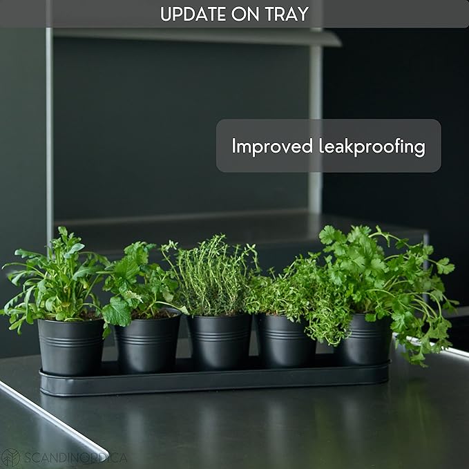 SCANDINORDICA Black Herb Planter – 5 Pots with Drainage Holes and Tray, Windowsill Planter, Herb Pots for Indoor Outdoor Plants | Kitchen &amp; Garden Decor