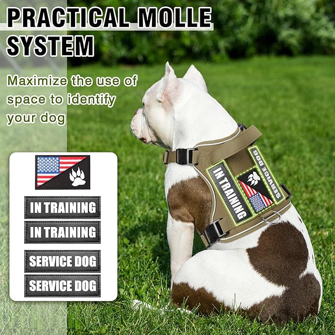 WINSEE Service Dog in Training Harness with 5 PCS Patches, Reflective Tactical Dog Vest Harness, Adjustable Soft Oxford Pet Harness with Easy Control Handle, Hook &amp; Loop Panels for Walking Hiking