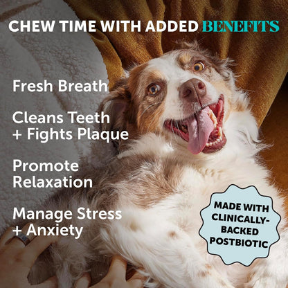 Dog Calming Bundle Hemp Calming Chews &amp; Dental Sticks Anxiety Support