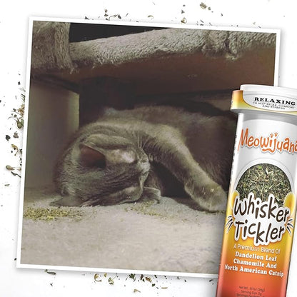 Meowijuana Purrple Passion Cat Nip - Premium Organic Blend of Catnip for Cats &amp; Silvervine, Stimulates Playful Behavior, 26g, Natural Wellness Gift for Cat Lovers