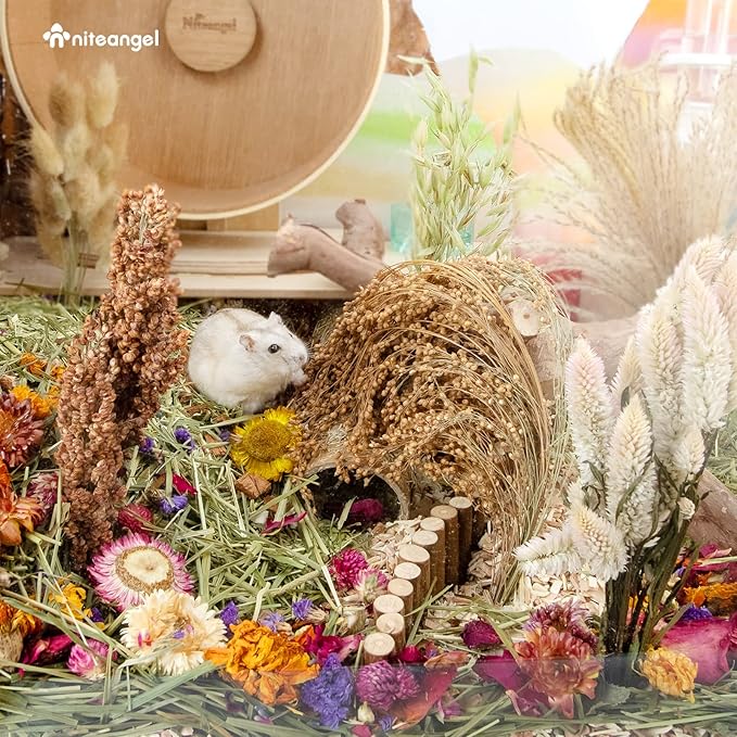 Niteangel Natural &amp; Soft Hamster Bedding Mate Small Animal Habitat Decor for Syrian Dwarf Hamsters Gerbils Mice Degus Bunny or Other Small-Sized Pet