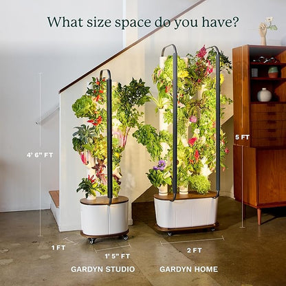 Gardyn Studio Hydroponics Growing System Kit &amp; Vertical Indoor Garden Planter | Smart Herb Garden | Includes 16 Non-GMO Indoor Plants, Herbs, Vegetables &amp; LED Grow Light for Your Home Gardening System