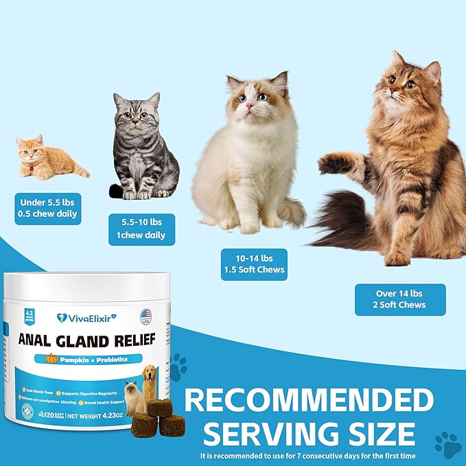 Cat Constipation Relief - Chewable Tablets - with Pumpkin, Psyllium Husk, Prebiotics &amp; Probiotics - Supports Gut Hydration, Bowel Regularity &amp; Immune Health - 120 Tablets