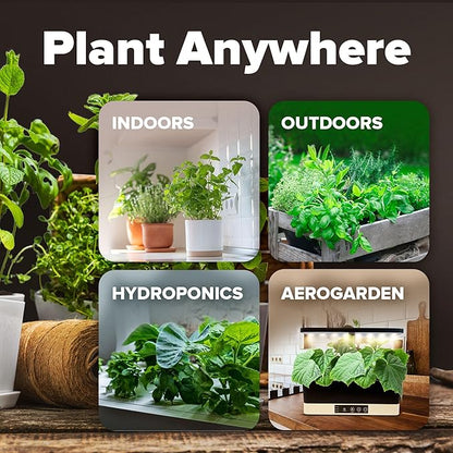 HOME GROWN 𝗨𝗦𝗔 𝗣𝗥𝗘𝗠𝗜𝗨𝗠 15 Heirloom Vegetable Seeds 7,000+ 𝗡𝗢𝗡-𝗚𝗠𝗢 Seeds for Planting, Survival Garden Pack for Preppers, Emergency Bugout Gear, Indoor Outdoor Vegetable Gardening Kit