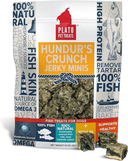 PLATO Hundur&