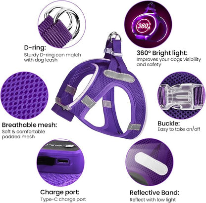 PceoTllar Light Up Dog Harness, LED No Pull Reflective Dog Harness, Flashing Lighted for Night Walking - Small/Medium, (Puplr,S)