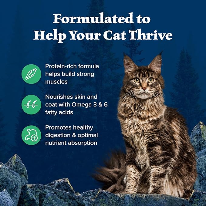 Blue Buffalo Wilderness Healthy Adult Dry Cat Food, Supports Health and Wellness, High-Protein &amp; Grain-Free, Duck, 11-lb Bag